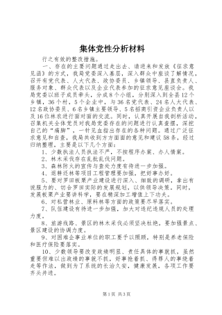 2024年集体党性分析材料