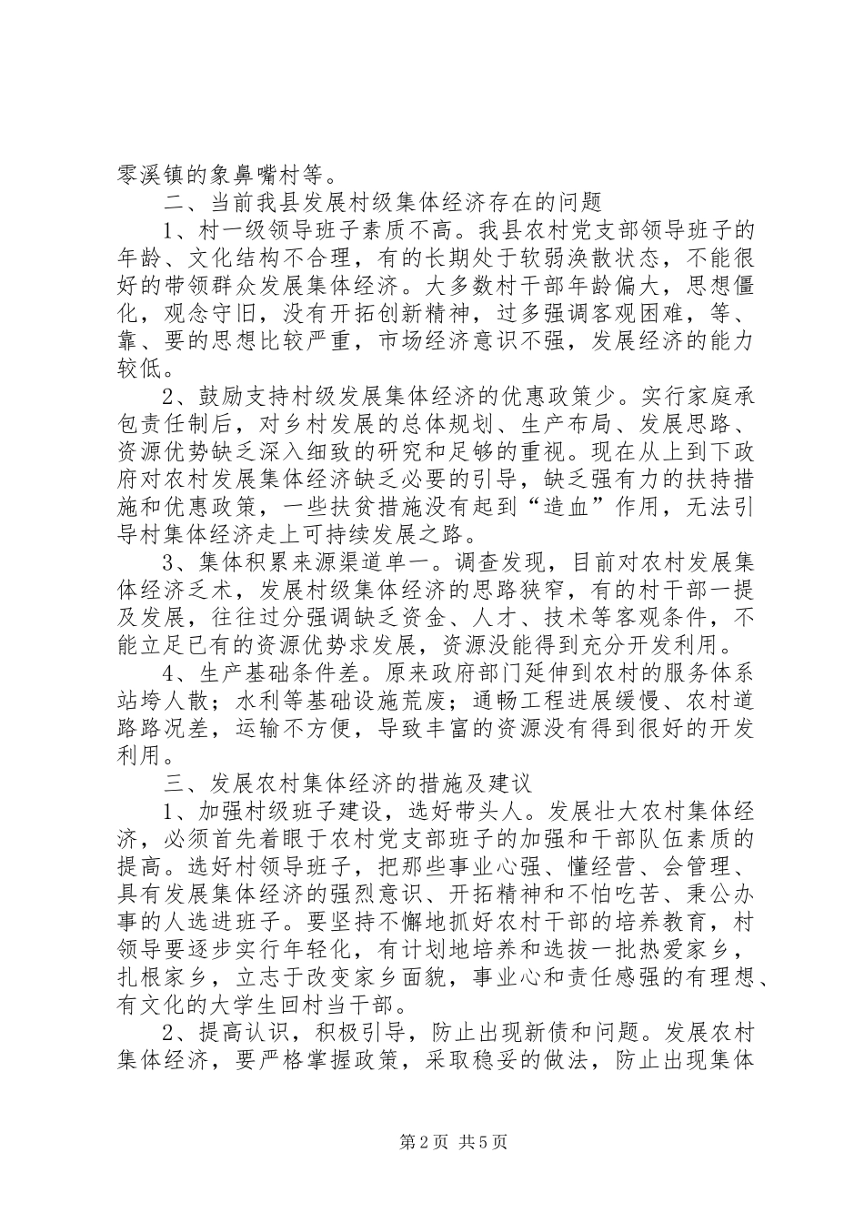 2024年集体经济新农村建设思考_第2页