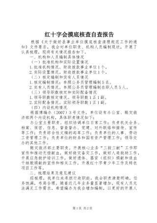 2024年红十字会摸底核查自查报告