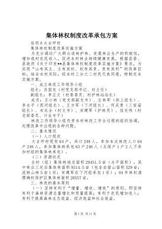 2024年集体林权制度改革承包方案