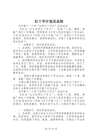 2024年红十字计划及总结