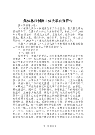 2024年集体林权制度主体改革自查报告