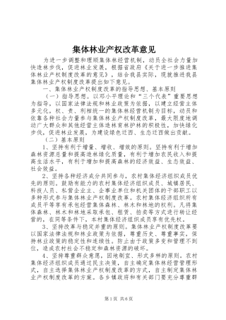 2024年集体林业产权改革意见