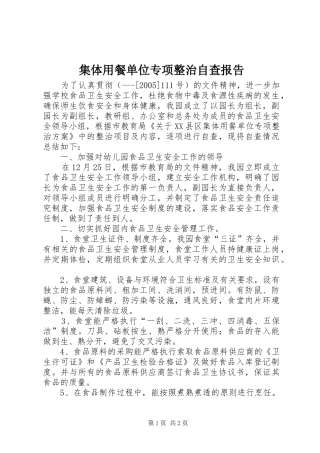 2024年集体用餐单位专项整治自查报告