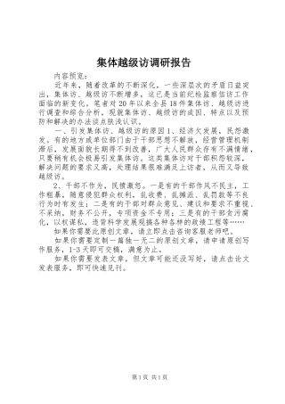 2024年集体越级访调研报告