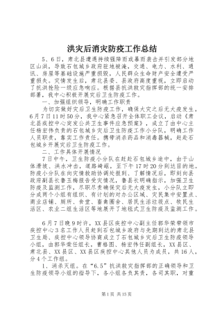 2024年洪灾后消灾防疫工作总结