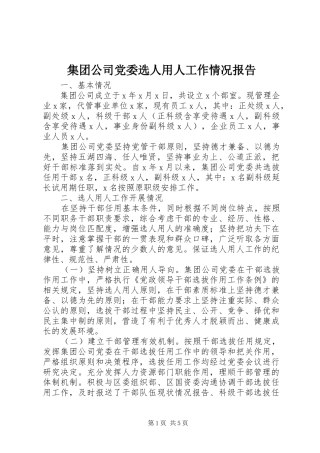 2024年集团公司党委选人用人工作情况报告
