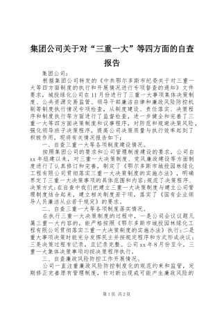 2024年集团公司关于对三重一大等四方面的自查报告