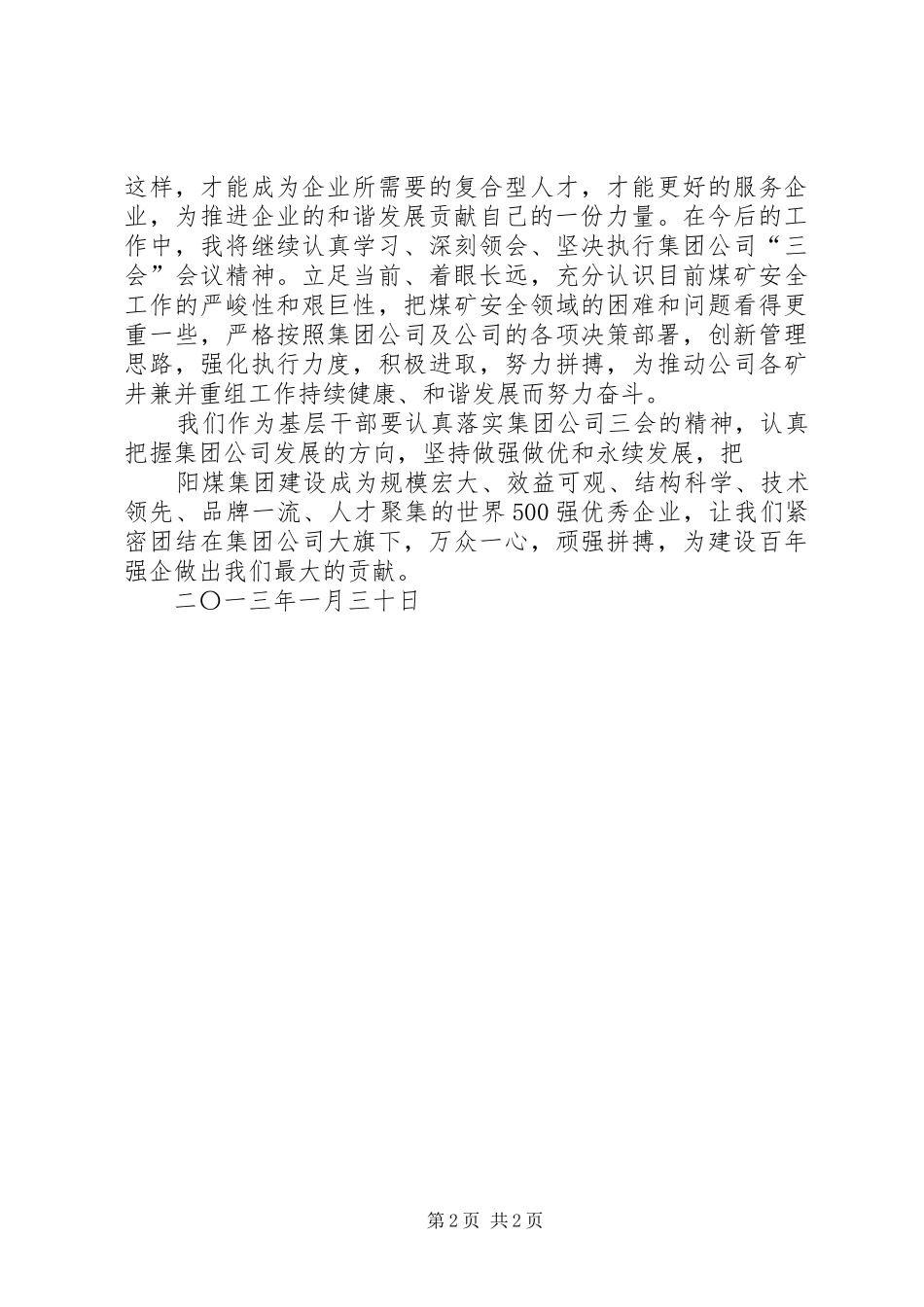 2024年集团公司三会学习心得_第2页