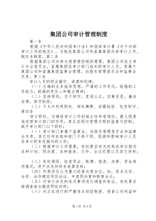 2024年集团公司审计管理制度