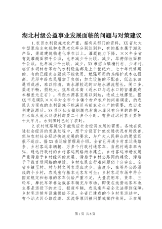 2024年湖北村级公益事业发展面临的问题与对策建议