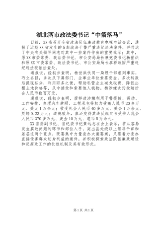 2024年湖北两市政法委书记中箭落马