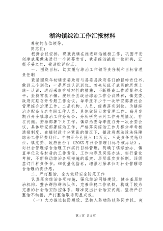 2024年湖沟镇综治工作汇报材料