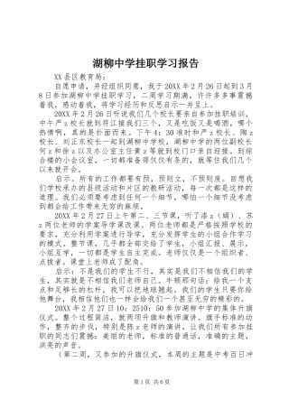 2024年湖柳中学挂职学习报告