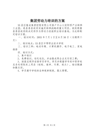 2024年集团劳动力培训的方案