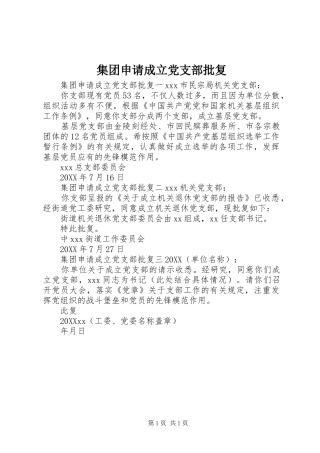 2024年集团申请成立党支部批复