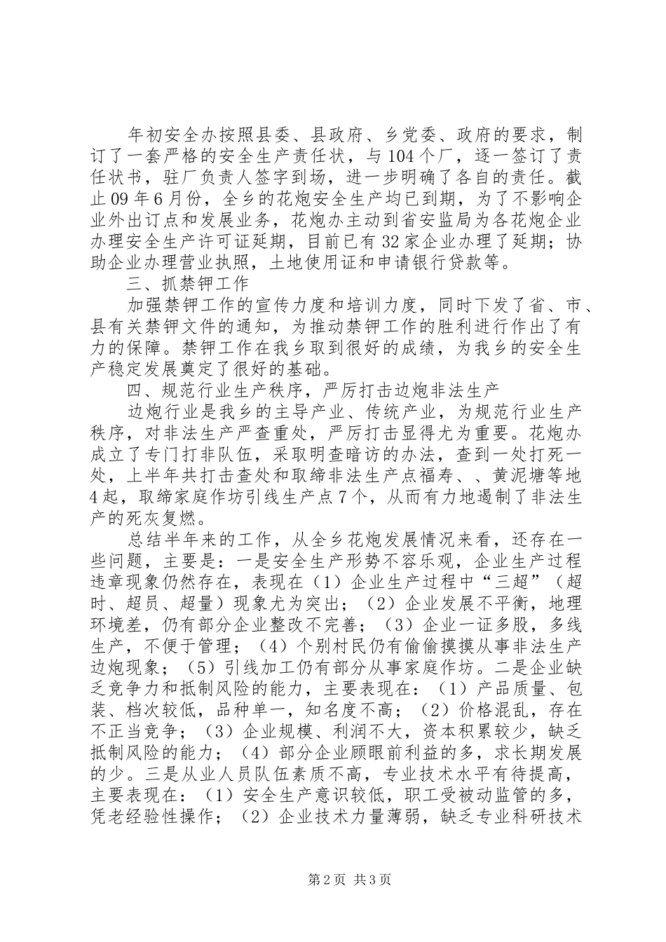 2024年花炮安全办上年总结及下年打算_第2页