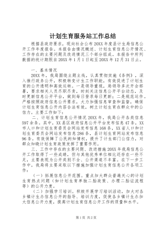 2024年计划生育服务站工作总结