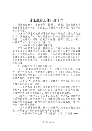 2024年计划生育工作计划十二