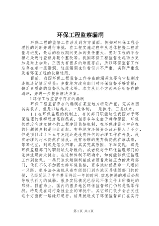 2024年环保工程监察漏洞