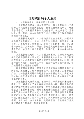 2024年计划统计局个人总结