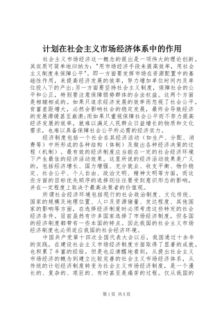 2024年计划在社会主义市场经济体系中的作用