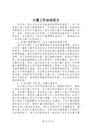 2024年计量工作总结范文