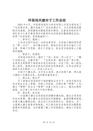 2024年环保局共建对子工作总结