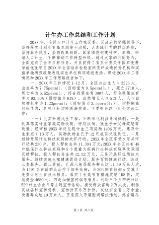 2024年计生办工作总结和工作计划