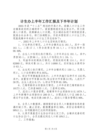 2024年计生办上半年工作汇报及下半年计划