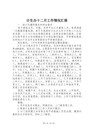 2024年计生办十二月工作情况汇报