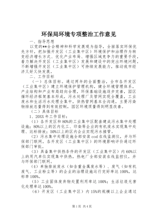2024年环保局环境专项整治工作意见