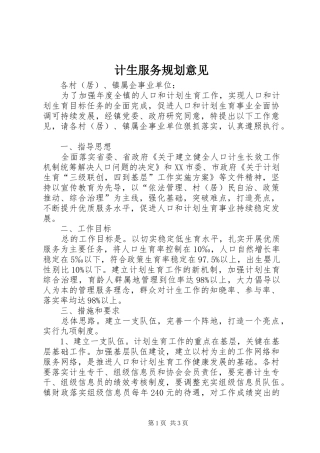 2024年计生服务规划意见