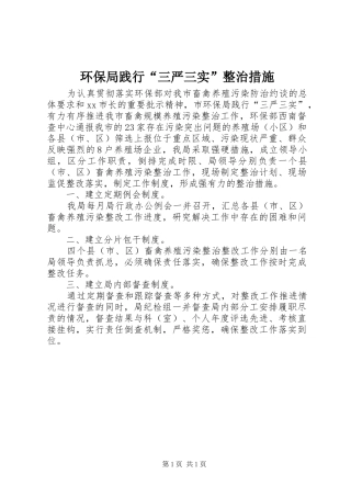 2024年环保局践行三严三实整治措施