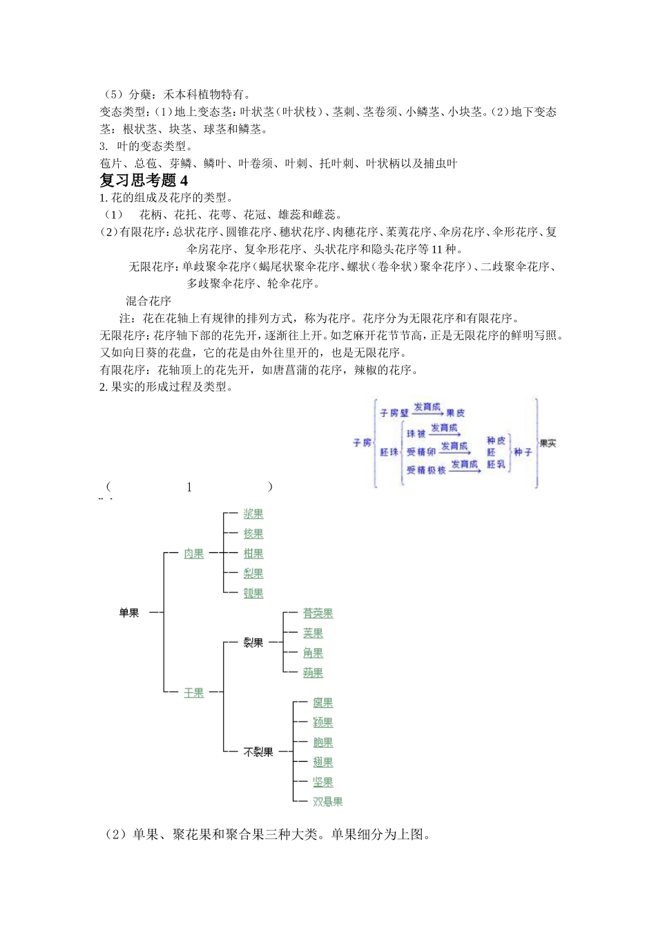 园林树木思考题参考答案_第2页
