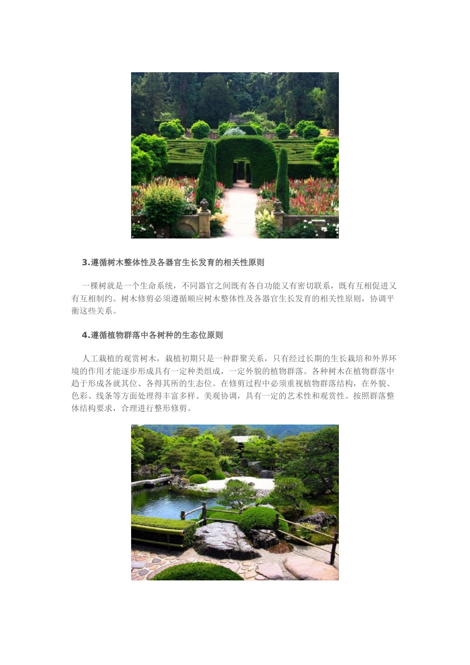 园林树木修剪原则_第2页