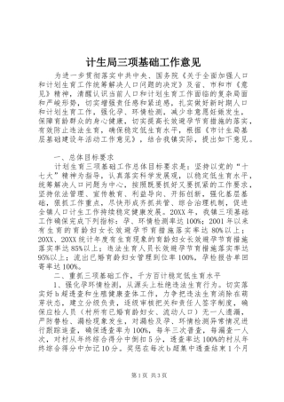 2024年计生局三项基础工作意见