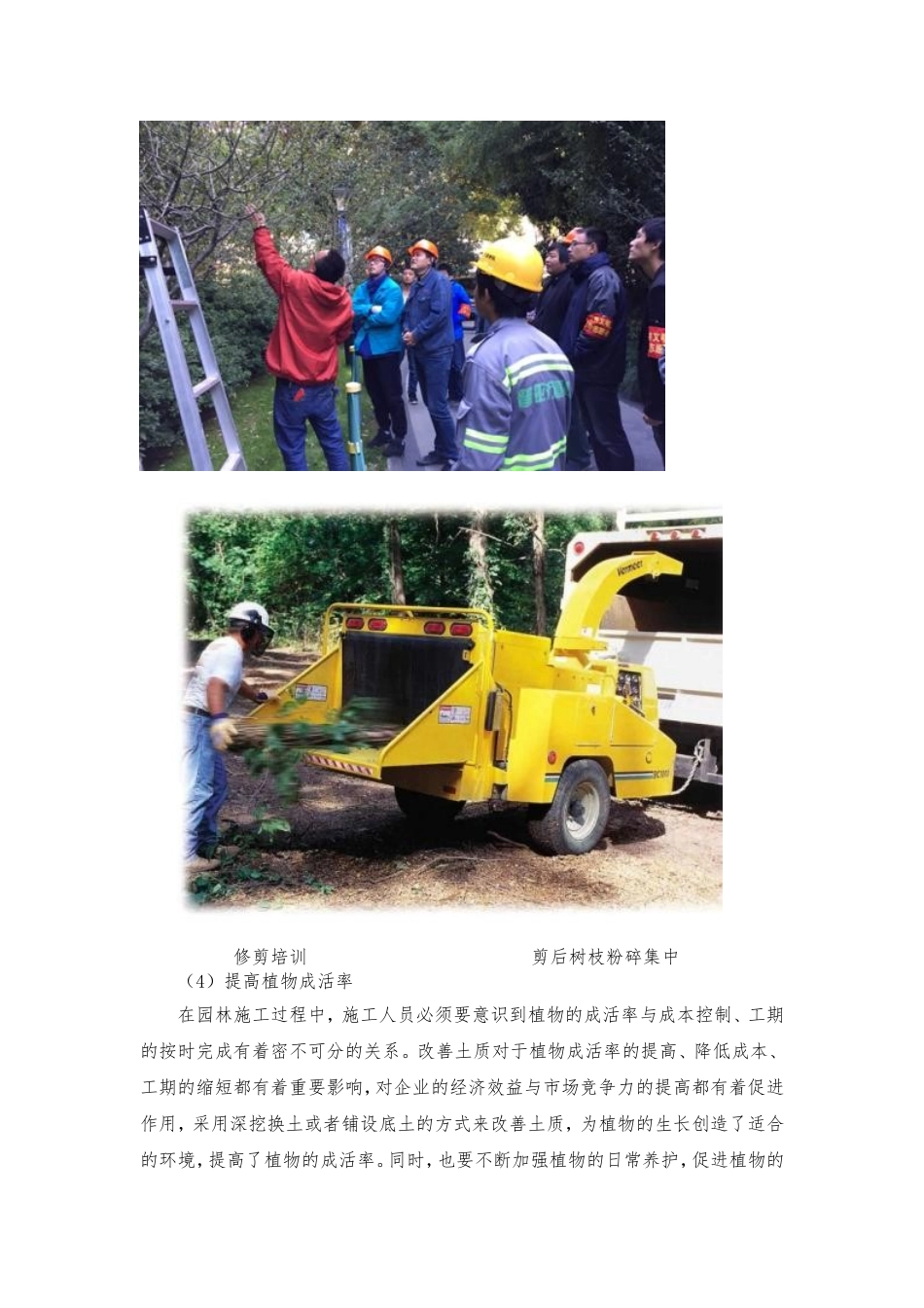 园林移植工程重点难点分析与措施_第3页