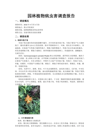 园林植物病虫害调查报告