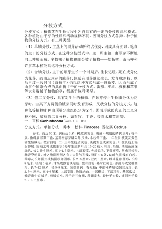 园林植物的分枝方式实习报告