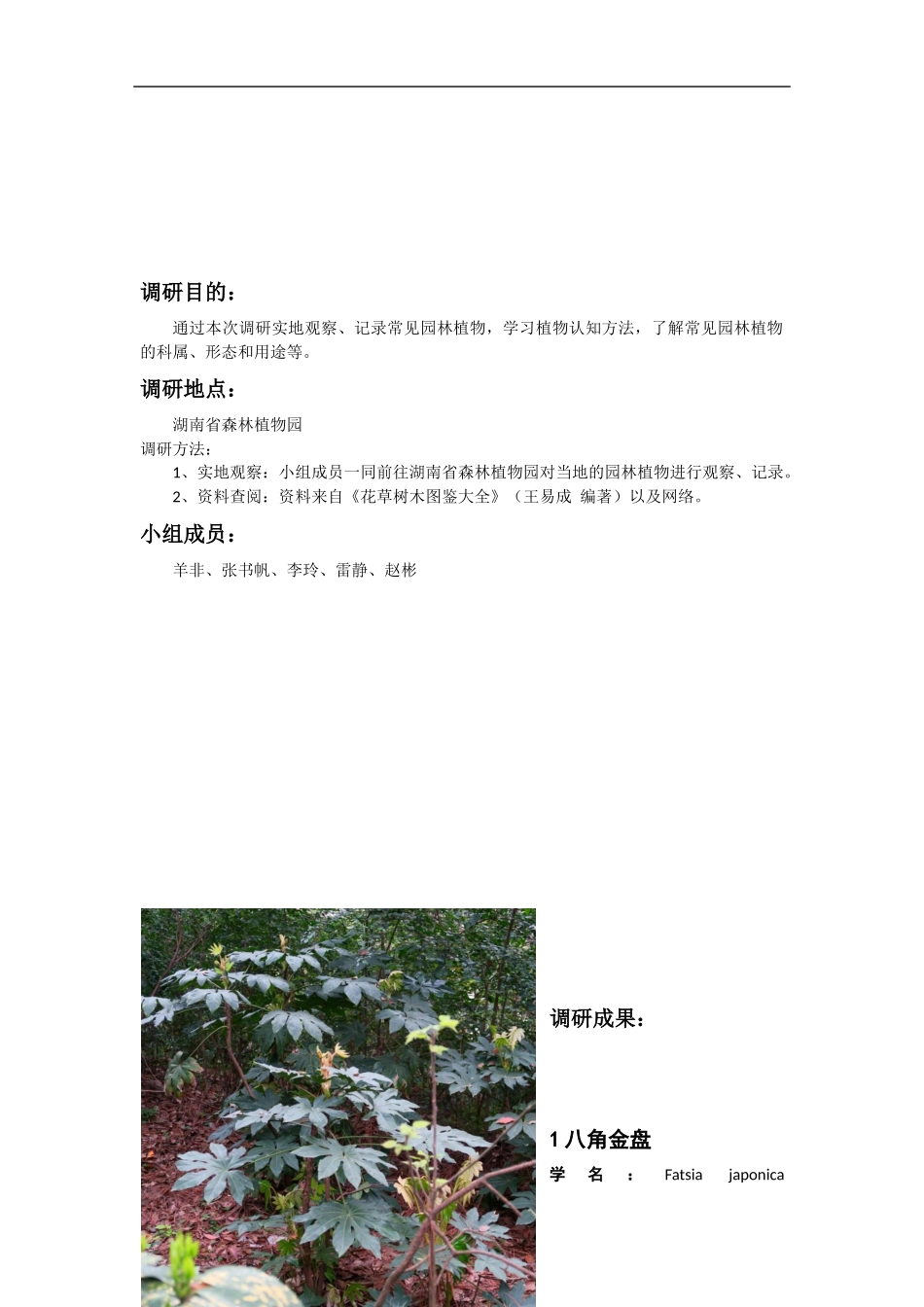 园林植物调研报告_第2页
