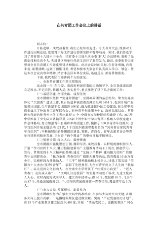 在共青团工作会议上的讲话-领导讲话模板