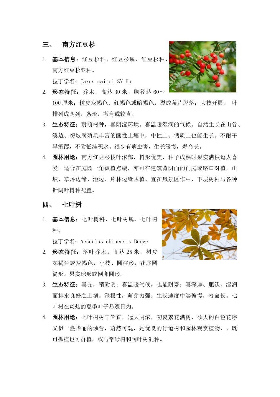 园林植物学常见(乔木灌木地被植物)_第2页
