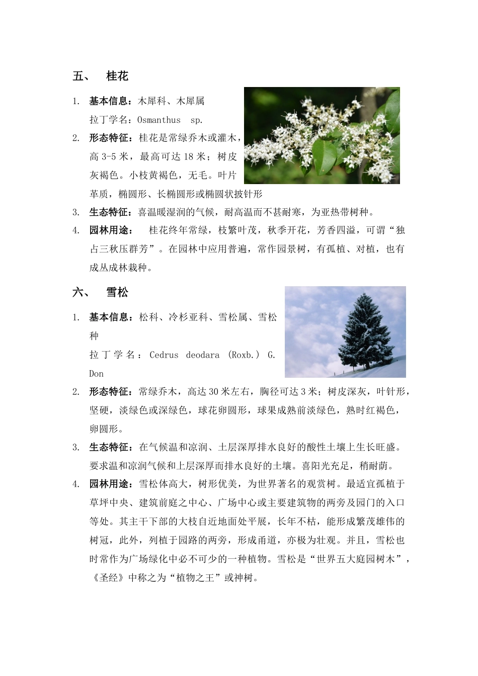 园林植物学常见(乔木灌木地被植物)_第3页