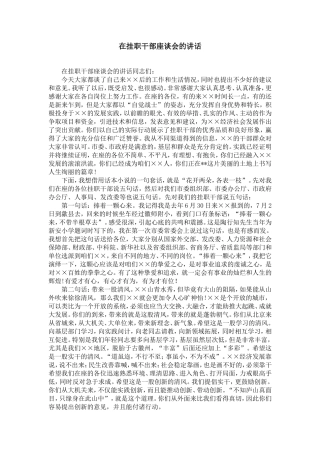 在挂职干部座谈会的讲话-精选模板