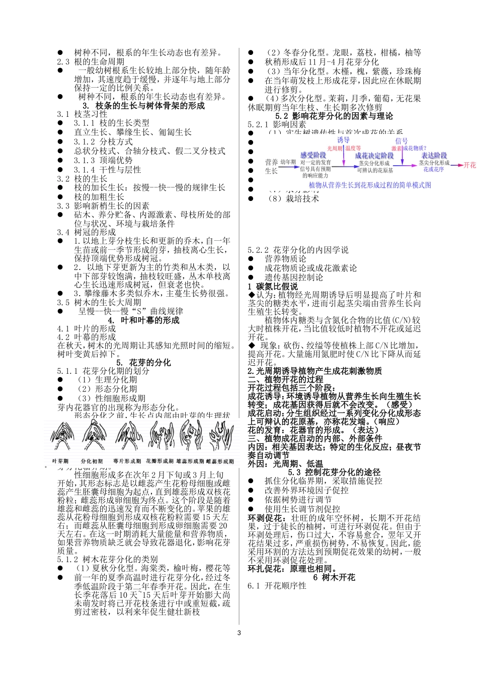 园林植物栽培与养护_第3页