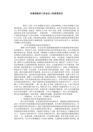 在基层组织工作会议上的典型发言-演讲致辞模板