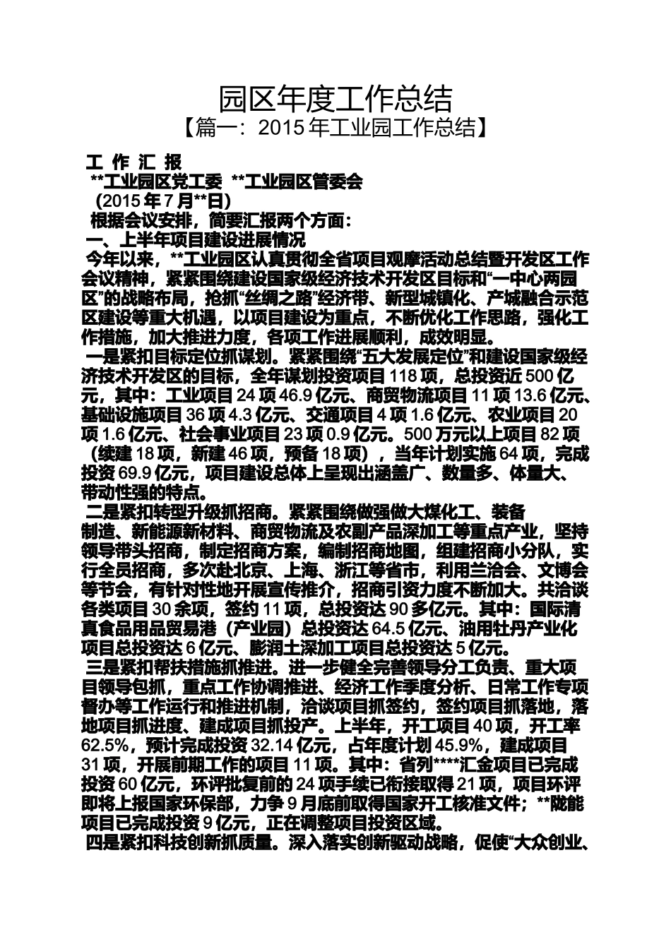 园区年度工作总结_第1页