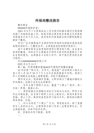 2024年环保局整改报告