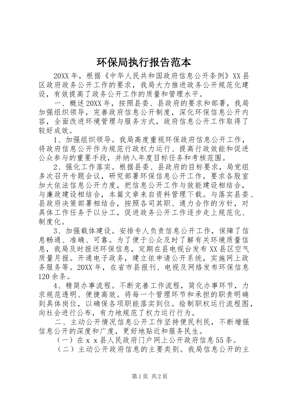 2024年环保局执行报告范本_第1页